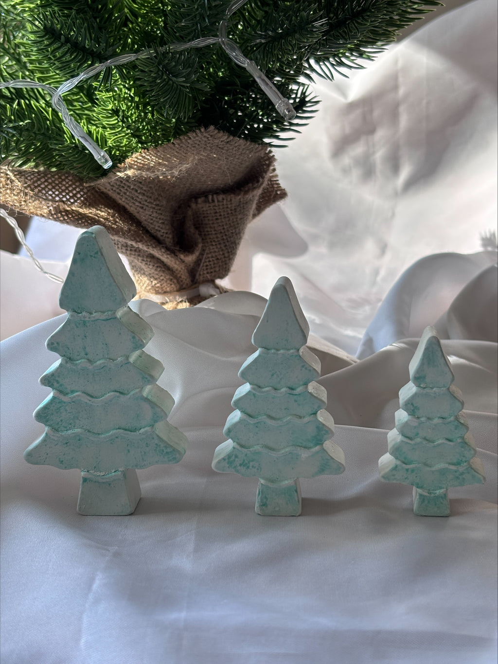 Christmas trees 3